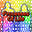 Base Pairs for Processes of Life